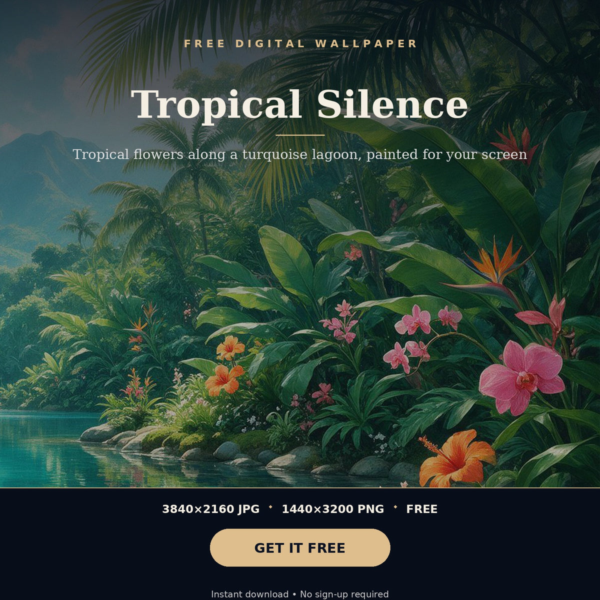 4K Tropical Silence | Free Digital Download